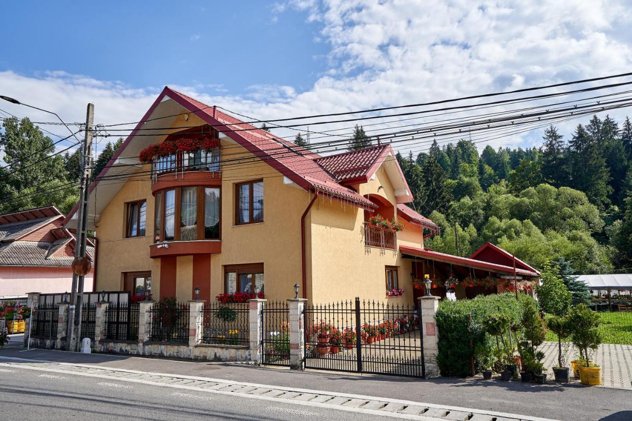 Casa Cu Flori Moisei Otel Dış mekan fotoğraf