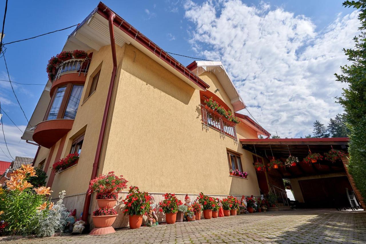 Casa Cu Flori Moisei Otel Dış mekan fotoğraf