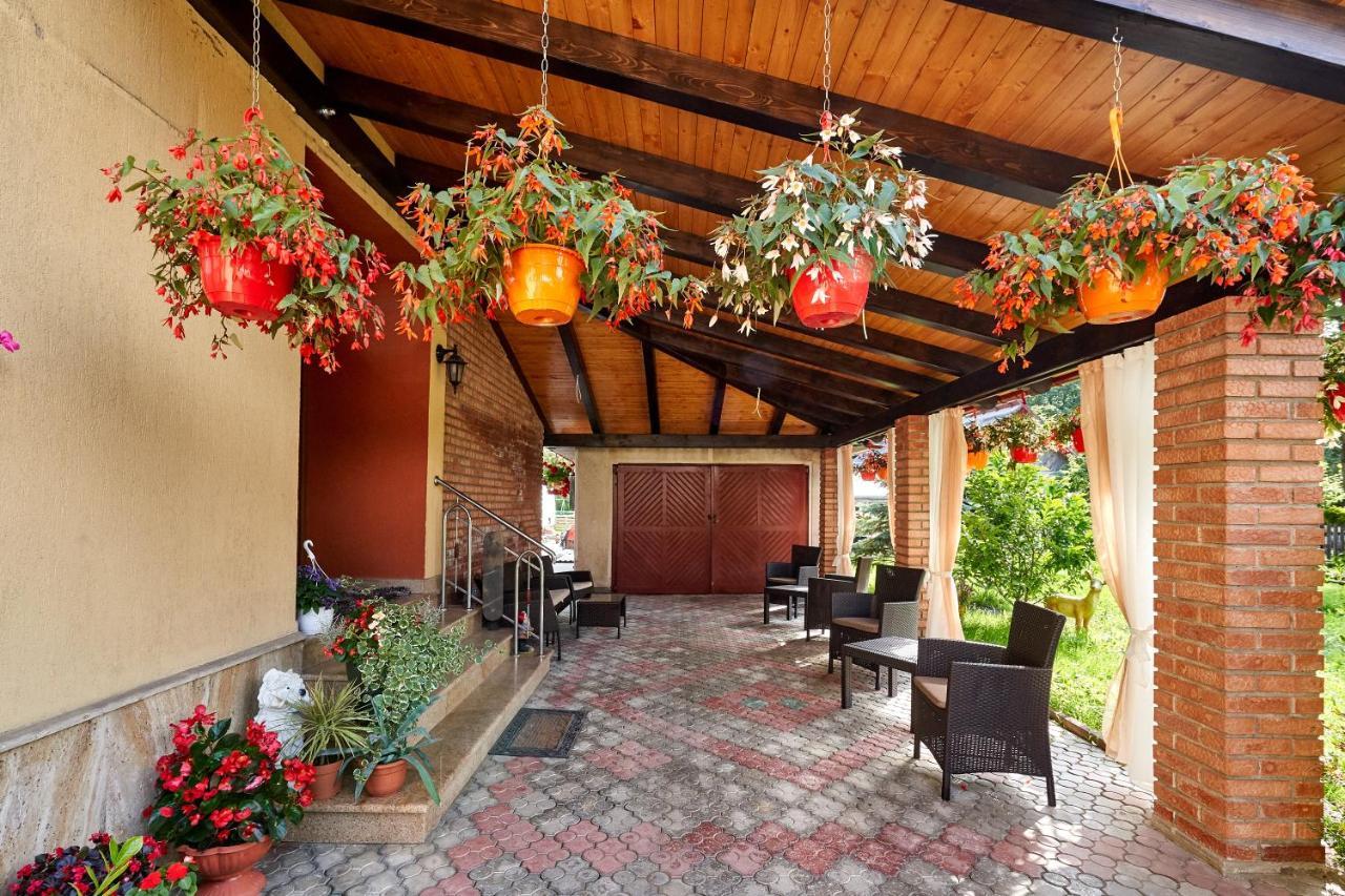 Casa Cu Flori Moisei Otel Dış mekan fotoğraf