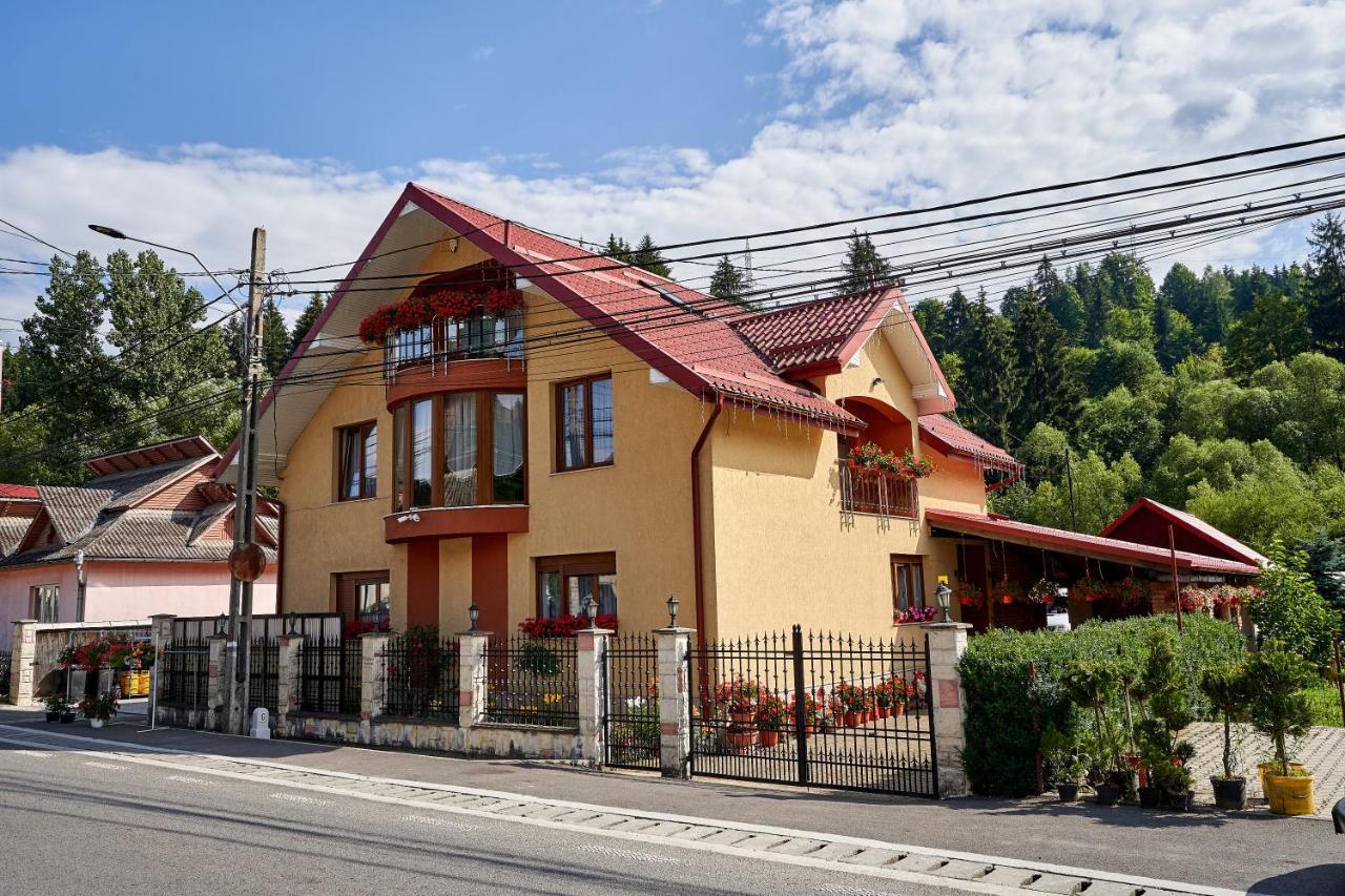 Casa Cu Flori Moisei Otel Dış mekan fotoğraf